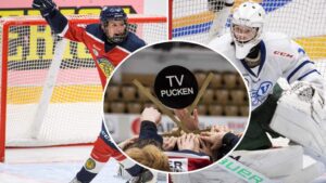 Så gick det för lagen under första dagen av TV-pucken