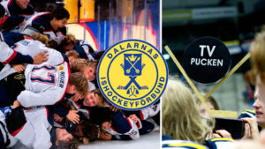 TV-pucken 2022: Dalarna – kommentarer om ALLA spelare