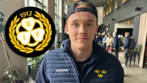 Theo Lindstein nobbar SHL-klubbarna – stannar i Brynäs