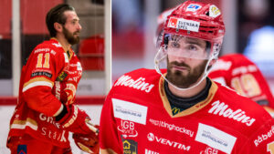 Daniel Stolt om Tim Theocharidis: “SHL-klubbar har frågat…”