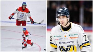 HOCKEY-VM: Radan Lenc kallas in i Tjeckens trupp