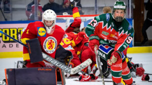 Chris Härenstam: Tio spelare att hålla koll på i TV-pucken