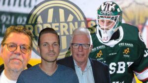 Hockeypanelen: ”Tycker satsningen är helt fel”