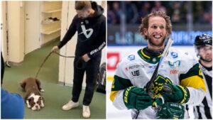 Klart: Fredric Weigel förlänger med Björklöven