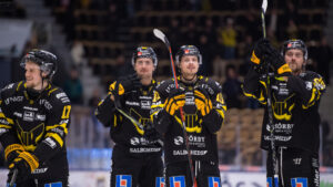 Seger för VIK Hockey på hemmaplan mot Vita Hästen