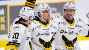 Stabil seger för VIK Hockey – höll nollan mot Almtuna