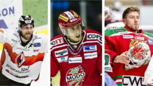 LISTA: Här är de tio bästa nyförvärven i Hockeyallsvenskan