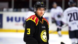 Brynäs backfrälsare har landat: ”Hade inte förväntat mig att få lira i NHL redan i år”