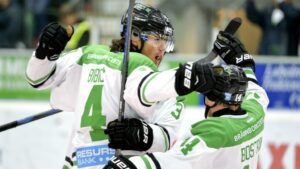 Bibic lånas ut till Hockeyallsvenskan