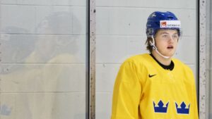 Förbundet bekräftar: Nylander och Ollas Mattsson spelar inte mer