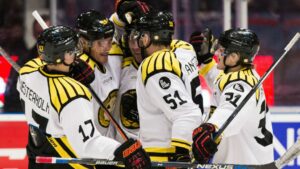 Experternas domedagsprofetior sporrar Brynäs: ”Det är bränsle”