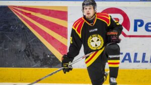 Vita Hästen värvar tidigare Brynäsjunior