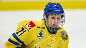 Landslagsforward till Brynäs: ”En supervärvning”