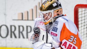 Han blir Brynäs lösning på målvaktskrisen