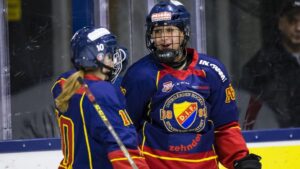 Djurgårdens styrkebesked – nollade Linköping i första semifinalen