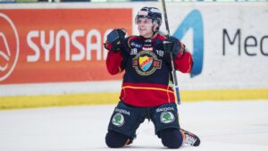 Beskedet: Djurgårdsback stängs av och Brynäsforward bötfälls