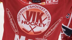 18-åriga backtalangen får chansen i Hockeyallsvenskan