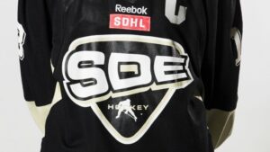 SDHL-spelare stängs av fyra matcher