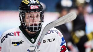 Wernblom lånas ut till Hockeyettan