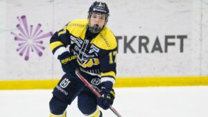 Här rankas HV71-talangen som bäste svensk inför draften