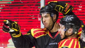 Beskedet kring den skadade Brynässtjärnan: ”Det handlar om flera veckor”