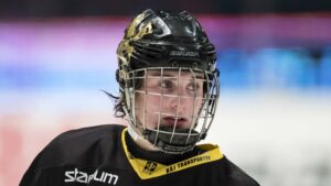 Här är finalisterna till Guldgallret