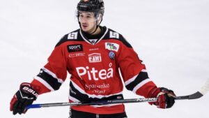 Hockeyettan-klubbens stora sorg: 23-årige backen hittad död