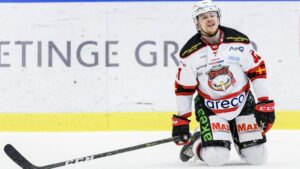 Pantern plockar in SHL-meriterat på provspel