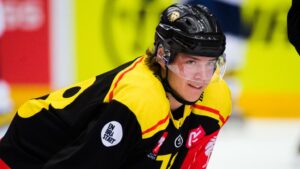 SHL-meriterad forward till Hockeyettan: ”En spelare som vill spela med mycket fart”