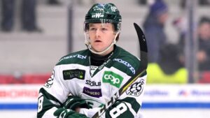 Från hobby till yrke – en resa från division 3 till SHL: ”Har nog inte fattat allt”