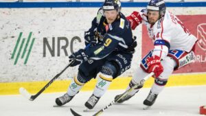 Storebrorsan drar till SHL – nu värvar de lillebror: ”En kvick forward”