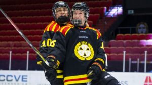 Brynäs ny serieledare efter seger mot SDE