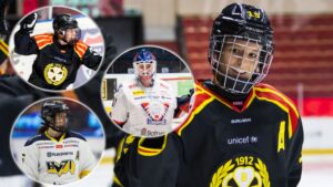 Här är alla vinnare från SDHL Awards