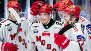 17,3 miljoner kronor till Hockeyallsvenskan – så mycket får varje klubb