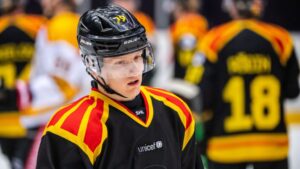 Brynäsforwarden drabbad av ny hjärnskakning