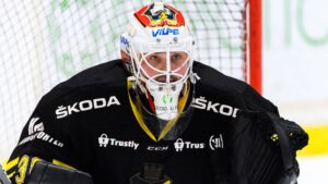 KHL-meriterad målvakt till Hockeyettan