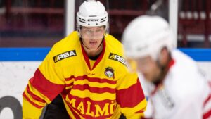 Uppgifter: Klar för SHL-återkomst