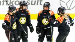 Brynäs vann och avgjorde matchserien