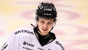 20-åringen får ny chans i Hockeyallsvenskan