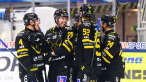 VIK Hockey höll nollan och tog stark seger mot Vita Hästen