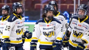 HV 71 segrare hemma mot SDE