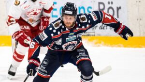 Veteranen dubbelt prisad på Hockeyettan Awards