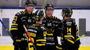 VIK Hockey slog Vita Hästen i jämn match i Himmelstalundshallen