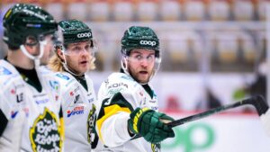 Björklöven vann efter avgörande i tredje perioden