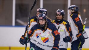 Målfest för Djurgården borta mot Göteborg HC