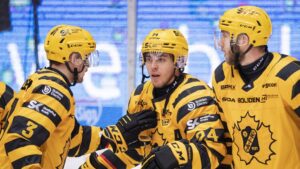 Skellefteå avgjorde i sista perioden och vann mot Brynäs