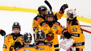 Luleå avgjorde matchserien mot AIK