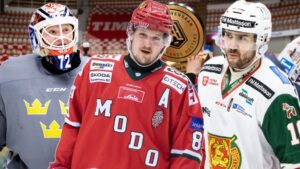 OLAUSSON: HockeyAllsvenskans tio tyngsta spelartapp