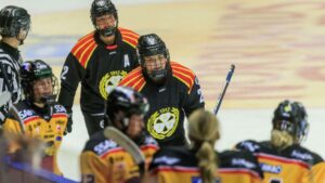 “Tredjekedjan” klev fram i Brynäs kross