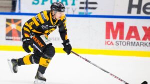 Skellefteå-spelaren anmäld till Disciplinnämnden